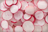 Fresh Radishes Photographic Print by Steve Gadomski
