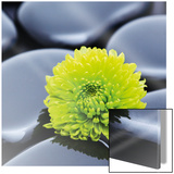 Black Spa Stones Poster