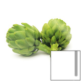 Artichokes in Balance Posters
