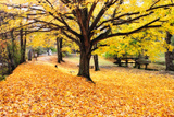 Halloween Outdoor Scenic Photographic Print by George Oze