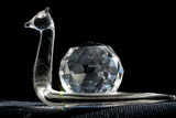 Crystal Snail Ornament Photographic Print by Charles Bowman