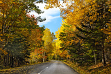 Autumn Scenic Drive, Acadia, Maine Photographic Print by George Oze