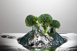 Broccoli FreshSplash Photographic Print by Steve Gadomski
