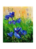 Crocuses Giclee Print by Ledent 