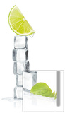 Citrus Ice Cube Kunstdruck