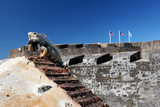 Iguana Basking, San Cristobal Fort, San Juan, PR Photographic Print by George Oze