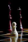 Chess Pieces Photographic Print by Charles Bowman