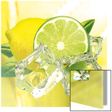 Fresh Lemon & Lime Láminas