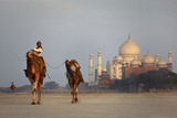 Taj Mahal Camels Photographic Print by Charles Bowman