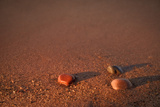First Light Apostle Islands National Lakeshore Photographic Print by Steve Gadomski