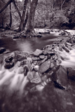Pigeon Forge River Great Smoky Mountains BW Photographic Print by Steve Gadomski