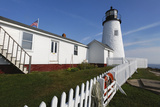 Lighthouse with Garden, Pemaquid Point, Maine Photographic Print by George Oze