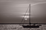 Sailboat Sunrise Photographie par Steve Gadomski