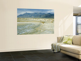 Black Rock Desert and High Rock Canyon Emigrant Trails National Conservation Area, Nevada, USA Wall Mural by Scott T. Smith