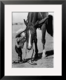 Jean Anne Evans, 14 Month Old Texas Girl Kissing Her Horse Framed Photographic Print by Allan Grant