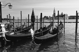 Gondolas of St Marks Square, Venice, Italy Photographic Print by George Oze Gondolas of St Marks Square, Venice, Italy Photographic Print by George Oze
