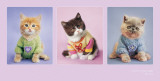 Kitty Couture Láminas por Rachael Hale