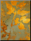 Water Garden I Mounted Print by Lanie Loreth
