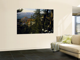 Bristlecone Pines Above Cedar Breaks at Sunset in Wintercedar Breaks National Monument, Utah, USA Wall Mural by Scott T. Smith