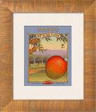Mango Prints by Kerne Erickson