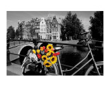 Tulips from Amsterdam Affiche