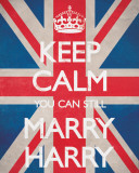 Keep Calm You Can Still Marry Harry - Afiş