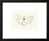The Butterfly Prints by Pablo Picasso