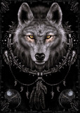 Wolf Dreams - Reprodüksiyon Wolf Dreams - Reprodüksiyon