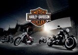 Harley Davidson - Bikes Posters