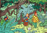 Tintin in the Jungle Posters par Hergé (Georges Rémi) 