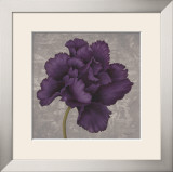 Black Plum I Prints by Ariane Martine