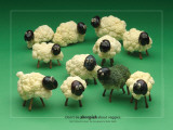 Sheep Foodscapes™ Posters
