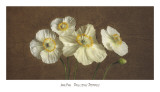 Precious Poppies Affiches par Janel Pahl