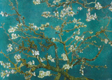 Van Gogh - Almond Blossom Posters by Vincent van Gogh