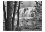 Bond Falls & Trees Posters par Monte Nagler