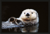 Sewell - Otter Plakát Sewell - Otter Plakát