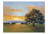 A Sunset Salute Posters av Vicki Mcmurry A Sunset Salute Posters av Vicki Mcmurry
