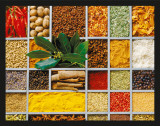 Gastronomy - Spices - Reprodüksiyon Gastronomy - Spices - Reprodüksiyon