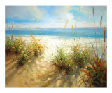 Across the Dunes Affiches par Craig McConnell