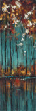 The Mirror II Prints by Luis Solis