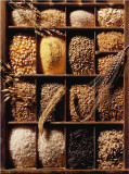 Grains and Rice Posters by Ricter 