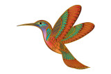 Hummingbird Cameo Posters by Matt James