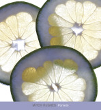 Pomelo Prints by Mitch Hughes