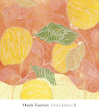 Citrus Limon II Prints by Ouida Touchón