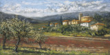 Hillside Olives Poster by Malcolm Surridge