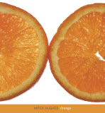 Orange Prints by Mitch Hughes