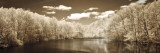A Tranquil Journey Plakater av Ily Szilagyi A Tranquil Journey Plakater av Ily Szilagyi
