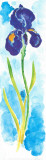 Acuarelas Flores Vertic I Posters by Faro 