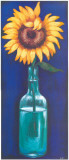 Bottled Flowers I Poster par Ferrer 