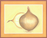 Onions Print by Urpina 